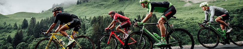 tredz free delivery code
